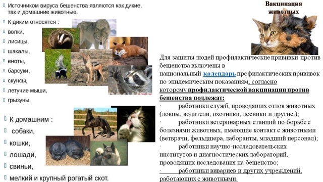 день